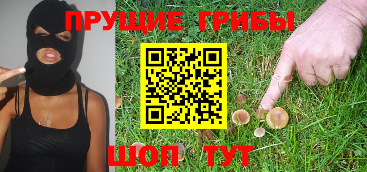 Галлюциногенные грибы Cubensis  Вход с VPN  Урус-Мартан 